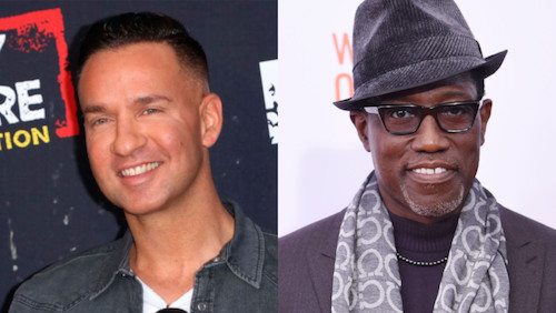 Celebrity Tax Woes Bookend October 2018: Mike “the Situation” Sorrentino and Wesley Snipes Take a Hit