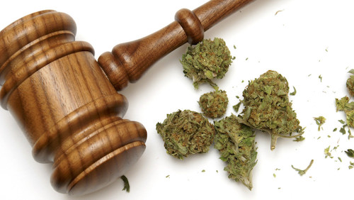 New Tax Court Opinion Highlights Tax Risks for Entities Functioning as Service Providers to Marijuana Businesses